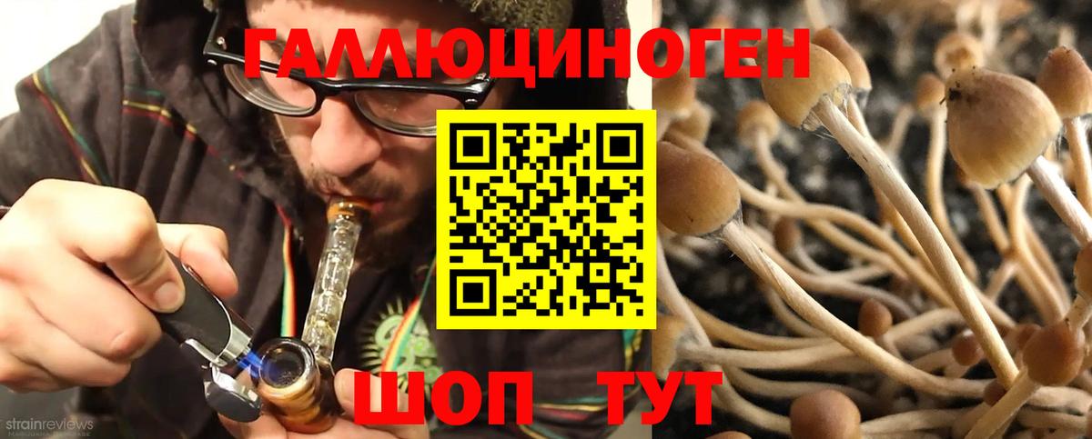 Псилоцибиновые грибы Magic Shrooms  Вход с VPN  Можга 